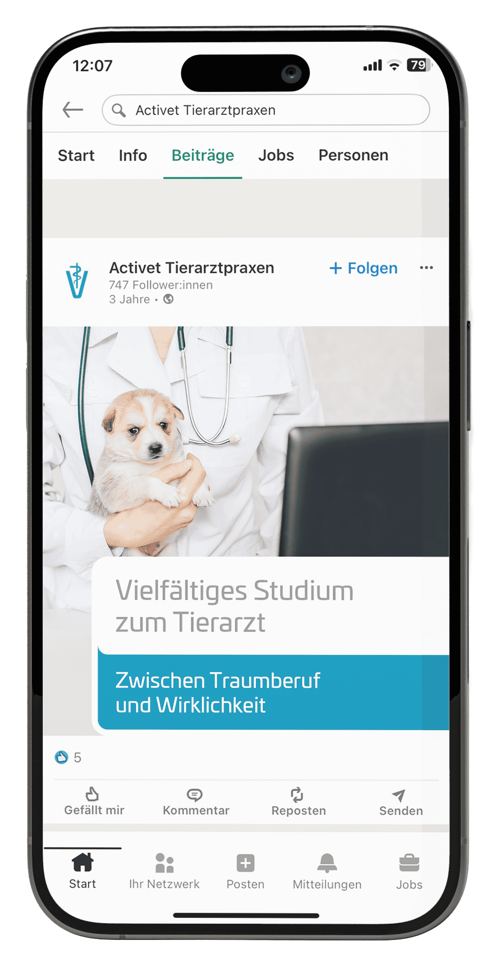 LinkedIn-Beitrag der Activet Tierarztpraxen zum Tierarztstudium mit Tierärztin und Welpen.