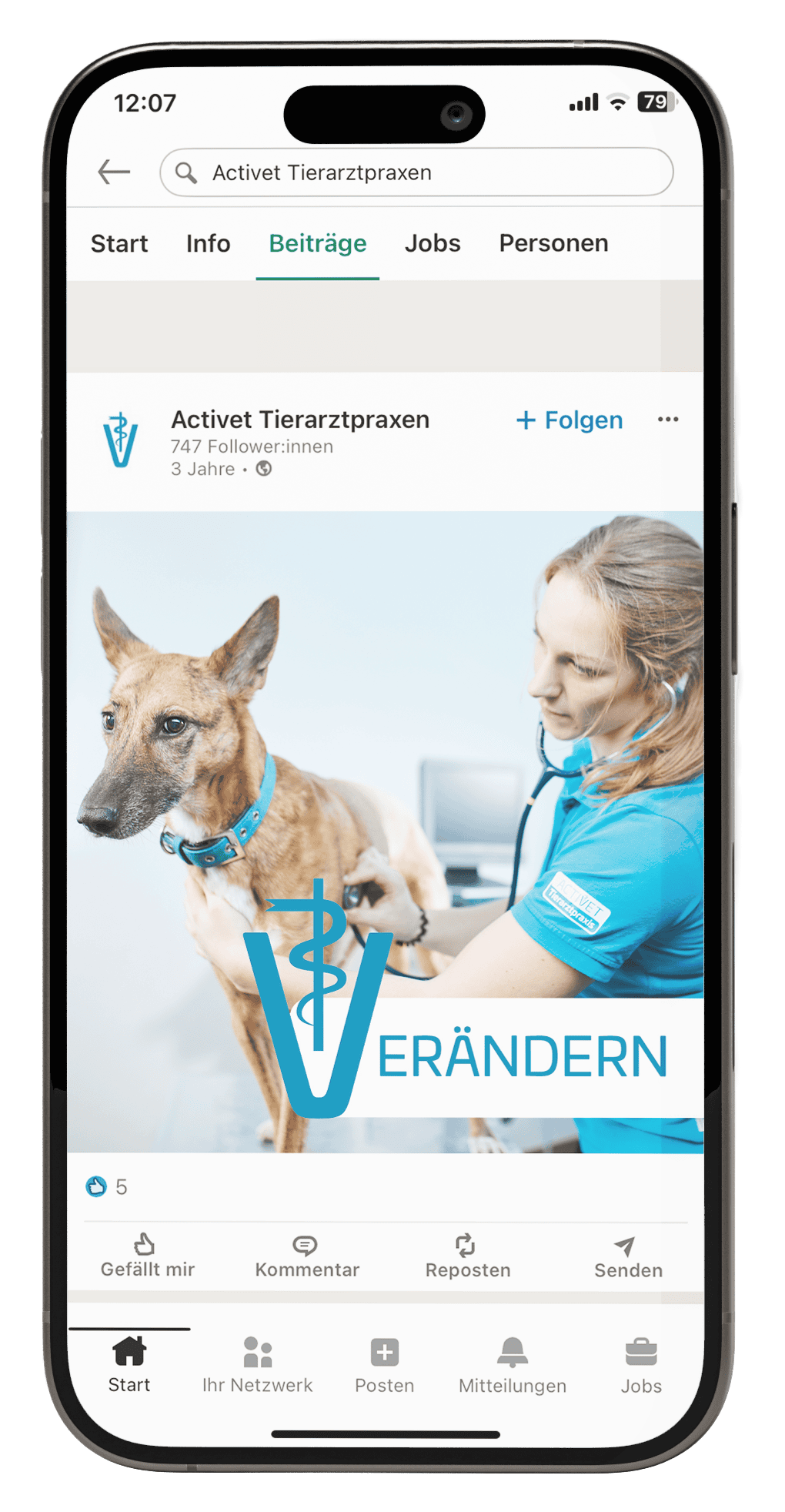 LinkedIn-Beitrag der Activet Tierarztpraxen mit Tierärztin bei der Untersuchung eines Hundes und dem Schriftzug „Verändern“.