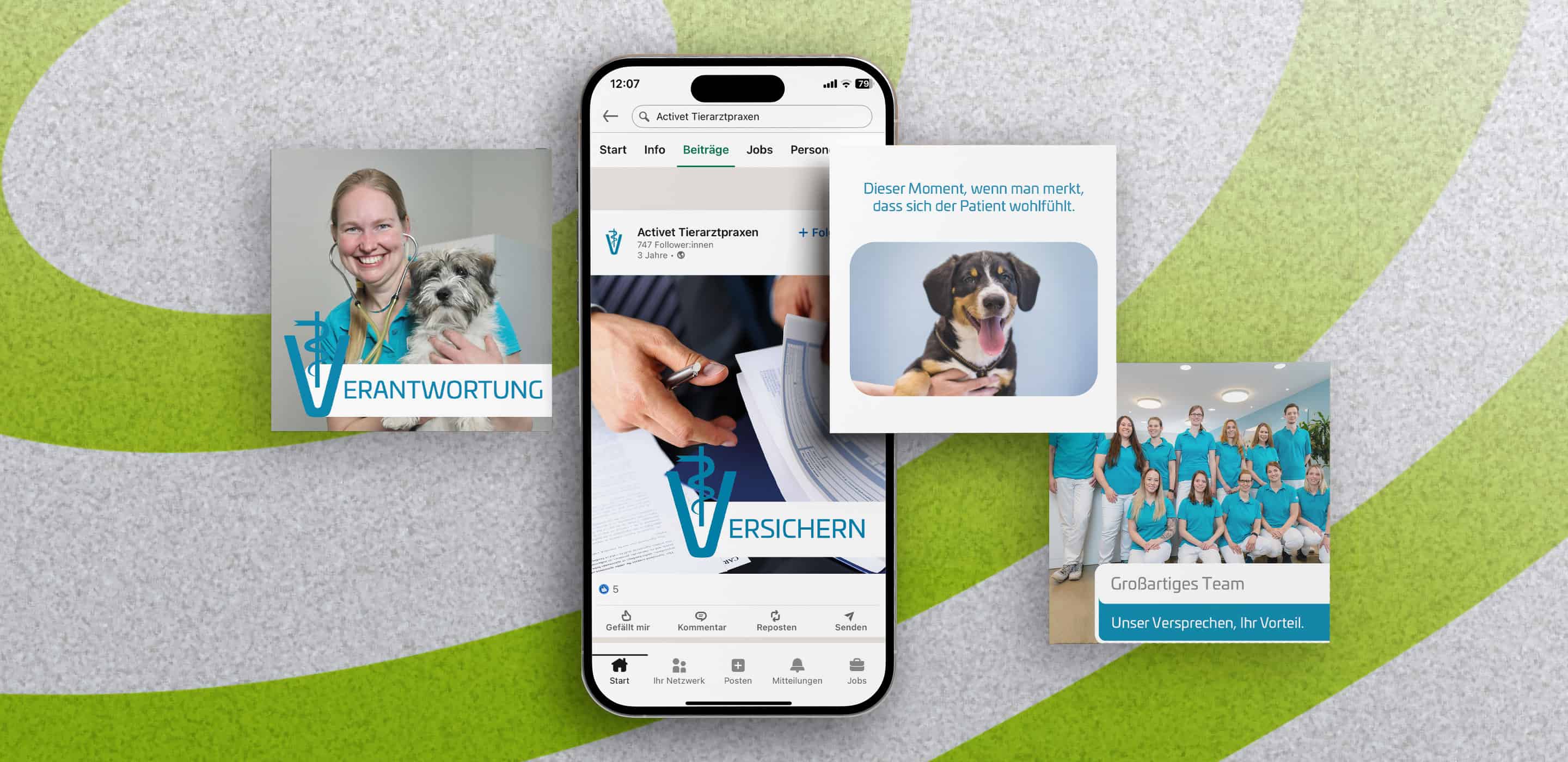 Social-Media-Mock-up für Activet Tierarztpraxen mit Beiträgen zu Team, Verantwortung und Patientenwohl.